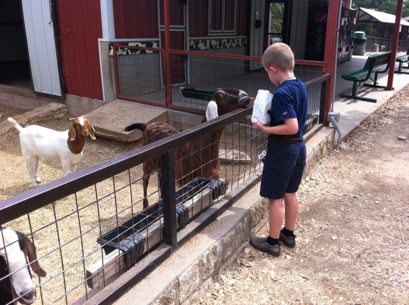 2012-04-09-16-Austin Zoo with Ian.jpg